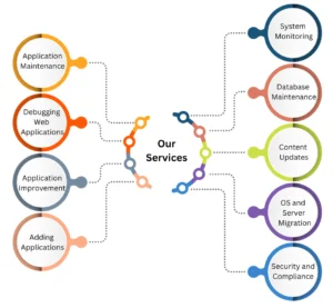 Our Services